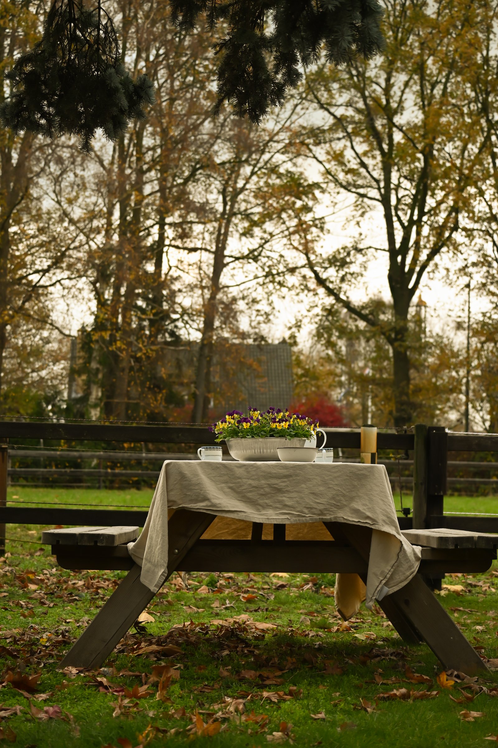 Nicole, pet sitter in Beek en Donk, photo 2