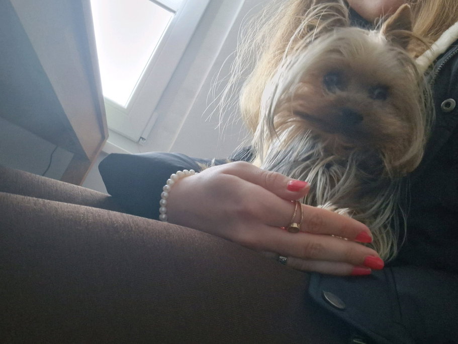 Annika, pet sitter in Sankt Augustin, photo 3