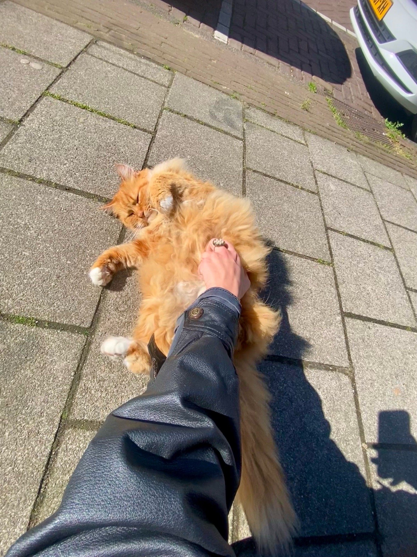 Naomi, pet sitter in Amsterdam, photo 4