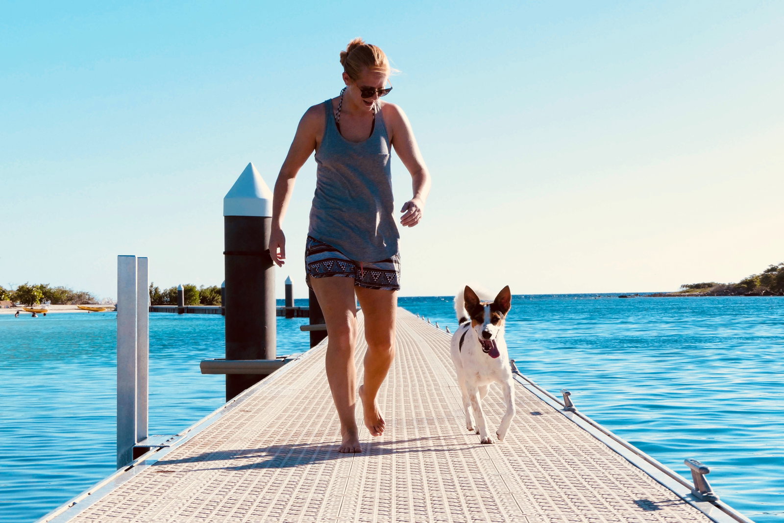 Bo, pet sitter in Amsterdam, photo 3