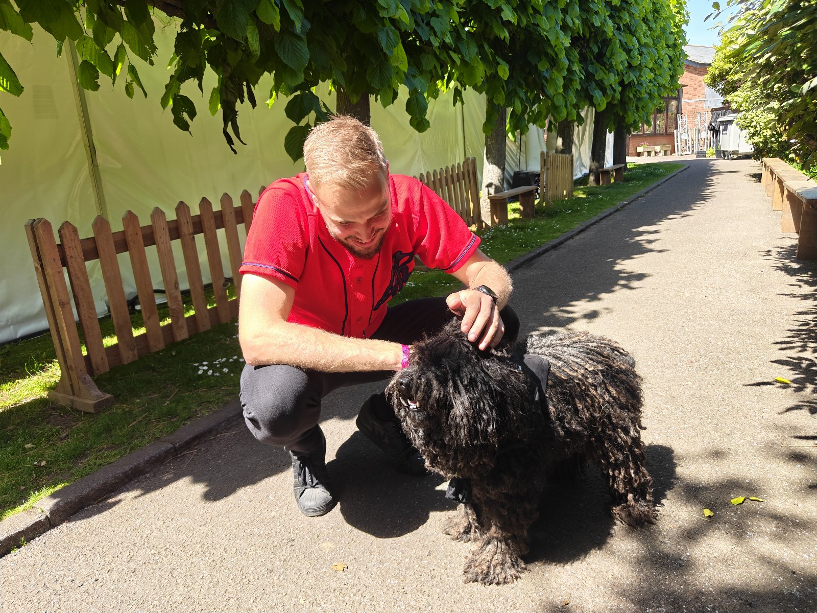 Jesse, pet sitter in Rotterdam, photo 4