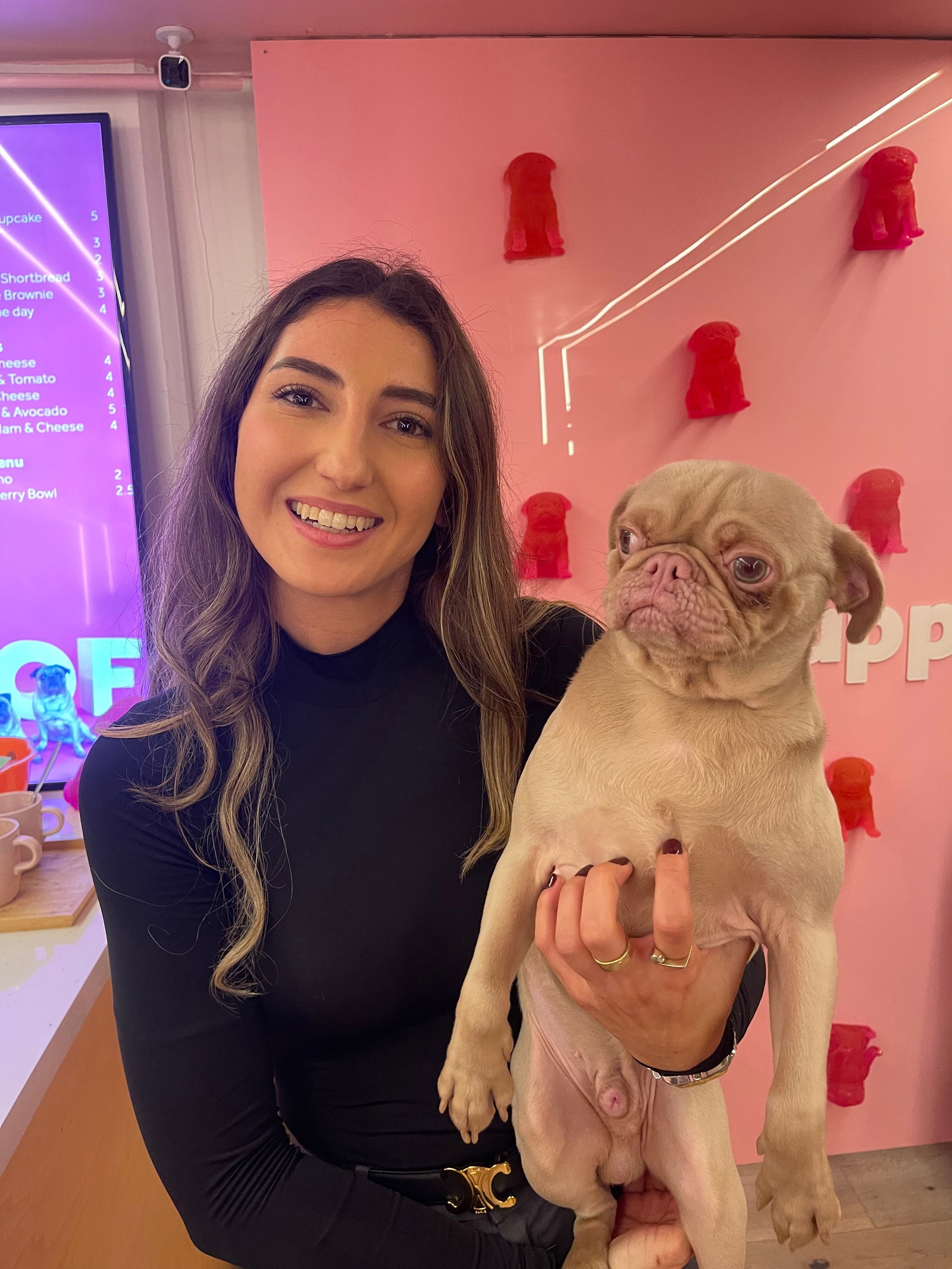 Demi, pet sitter in Eindhoven, photo 2