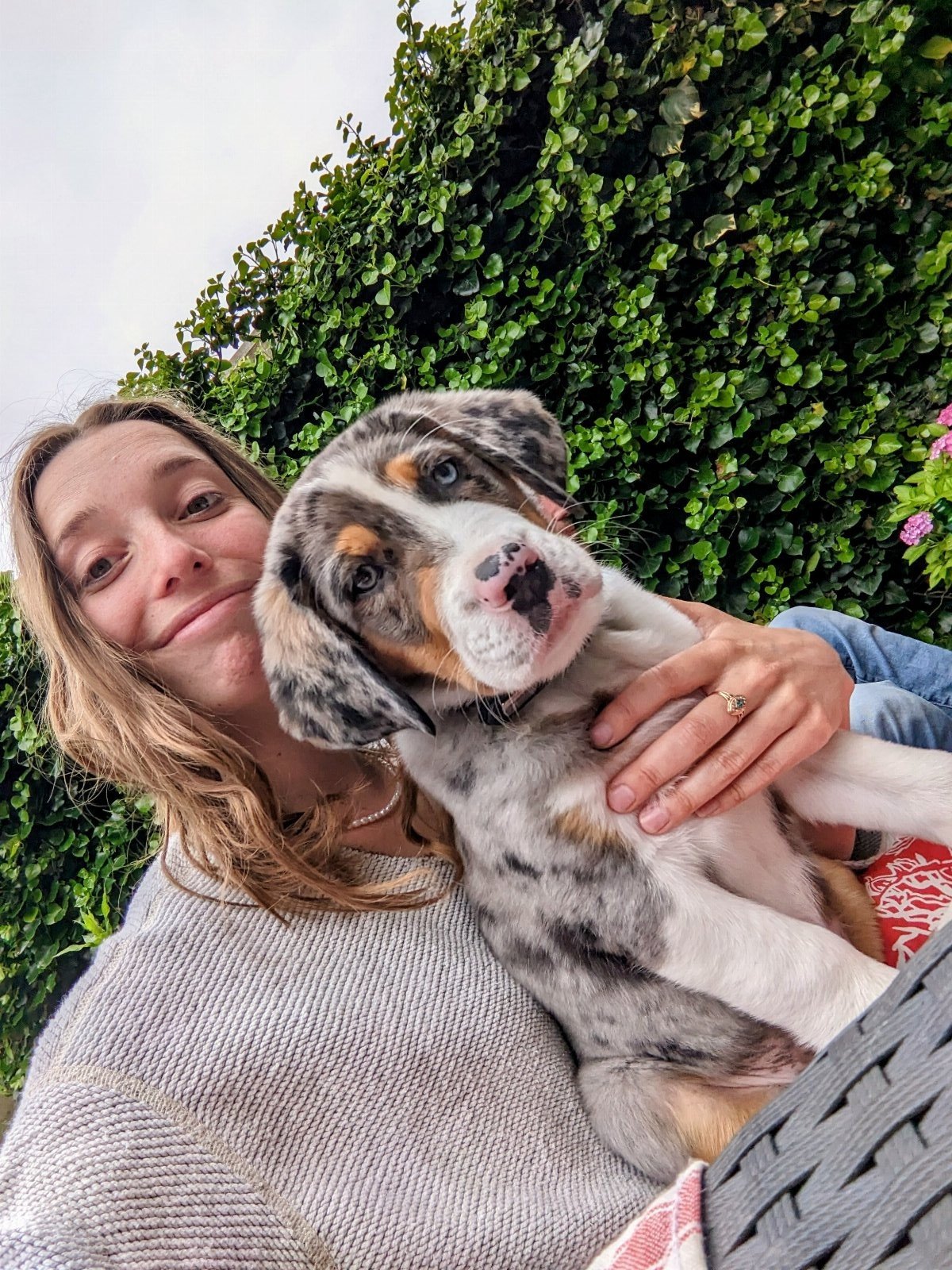 Myrthe, pet sitter in Amsterdam, photo 2