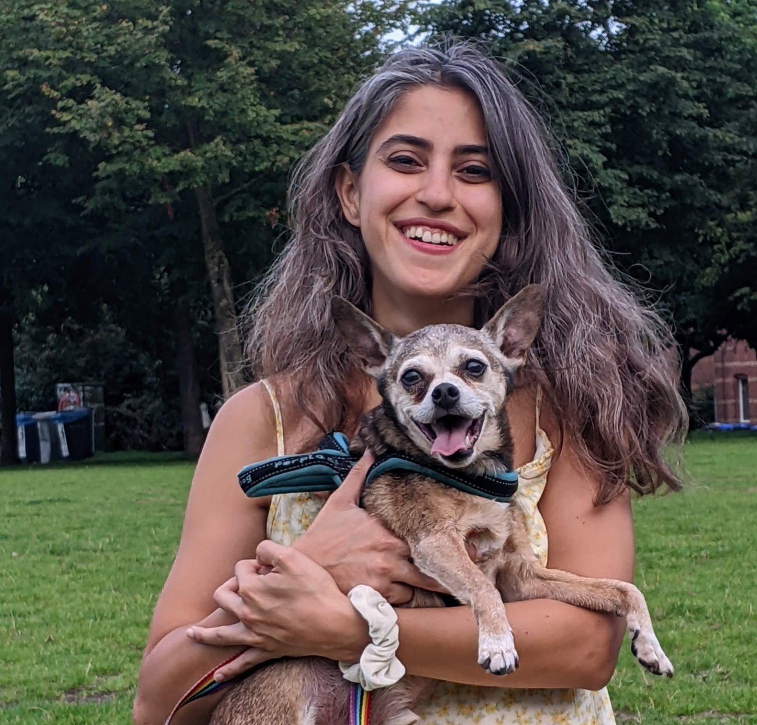 Parinaz, pet sitter in Amsterdam, photo 1