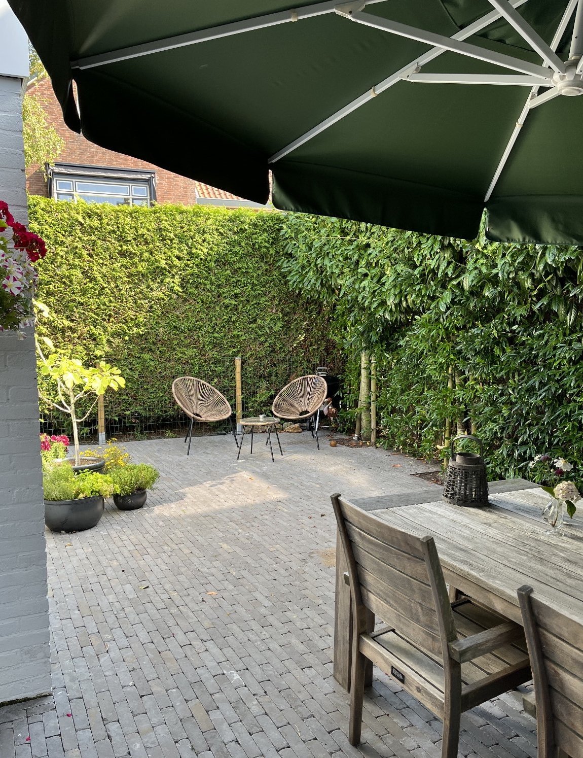 Antoinette, pet sitter in Voorschoten, photo 2