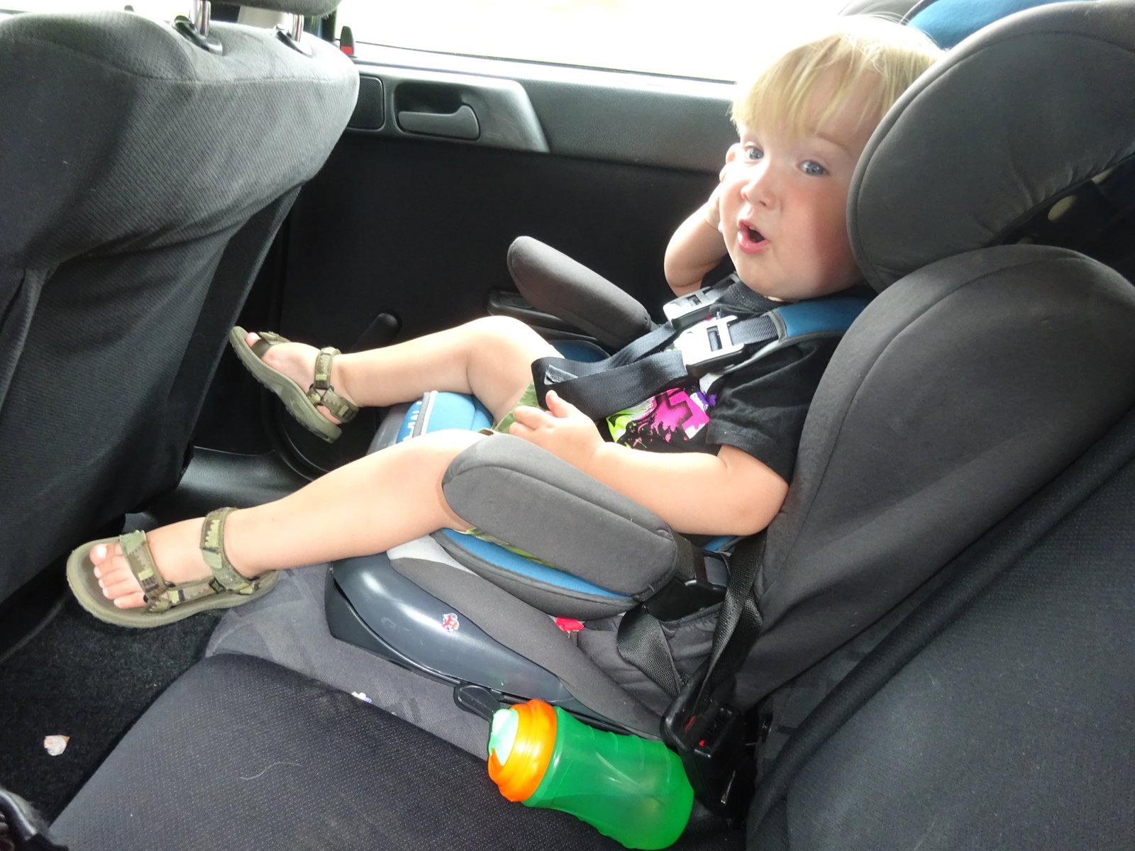Anja, pet sitter in medemblik, photo 3