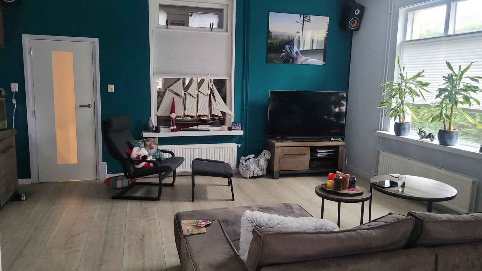 Keanu, pet sitter in Sassenheim, photo 1