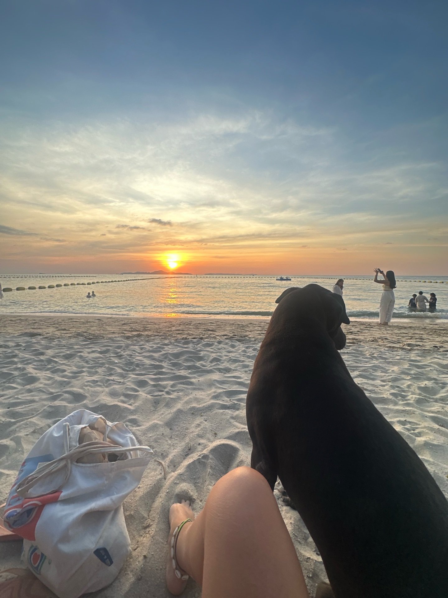 Caro, pet sitter in kerkrade, photo 5