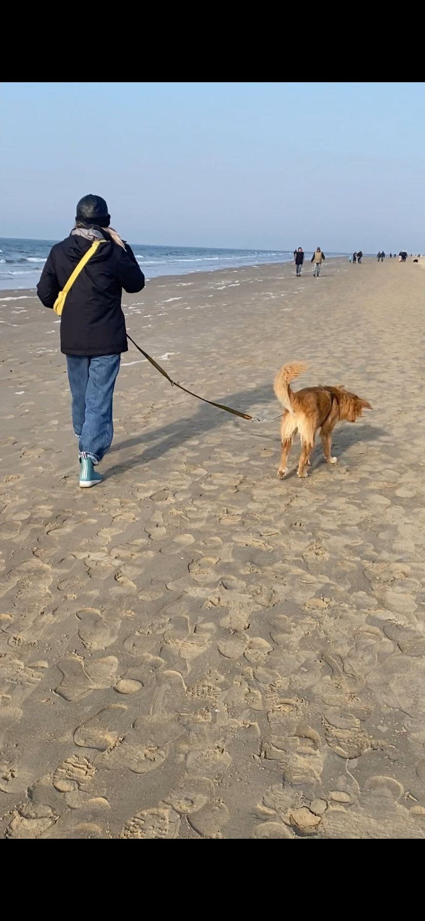 Lorena, pet sitter in 's-Gravenhage, photo 4