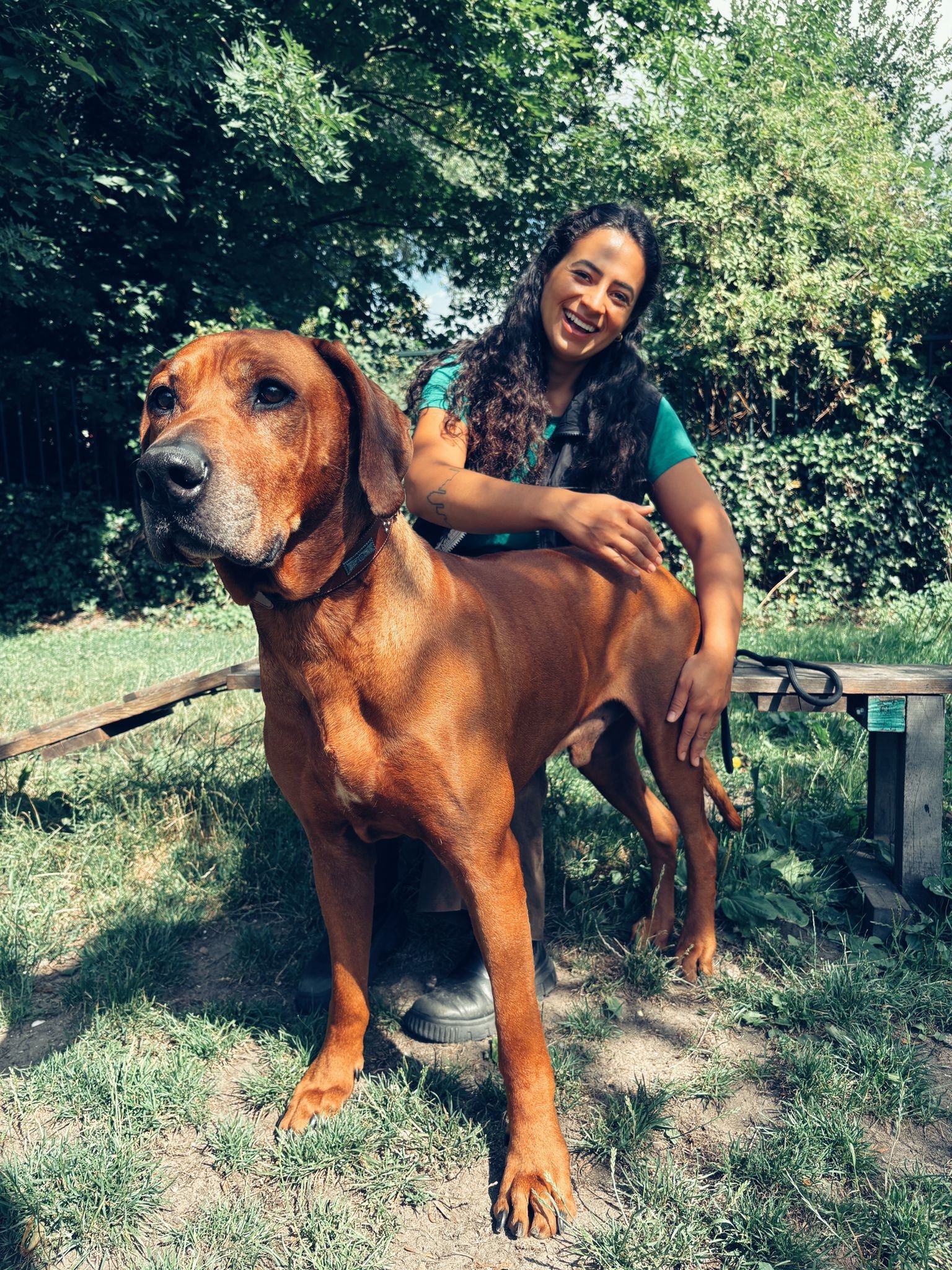 Bruna, pet sitter in Amsterdam, photo 1