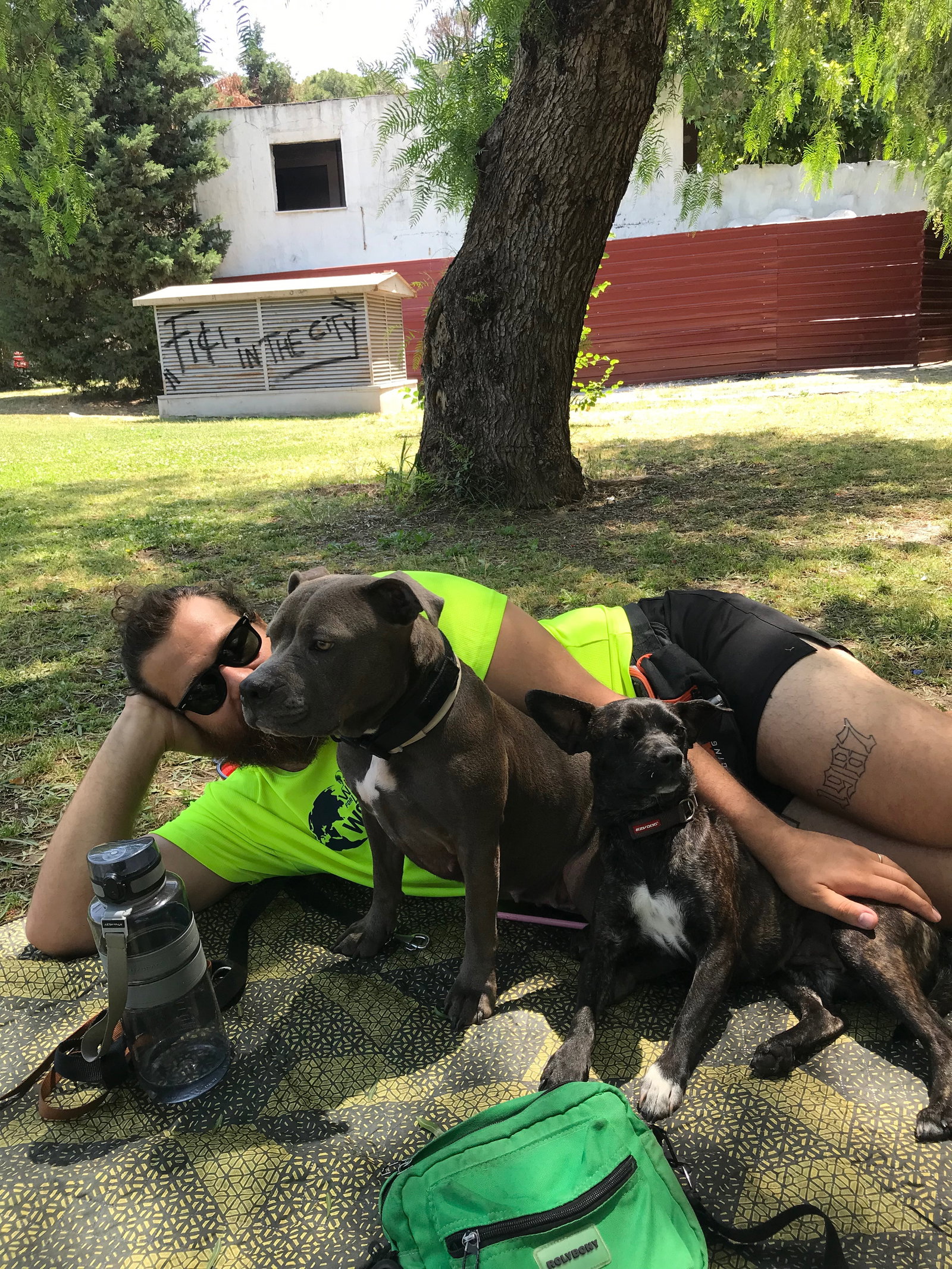 Dincer, pet sitter in Veenendaal, photo 1