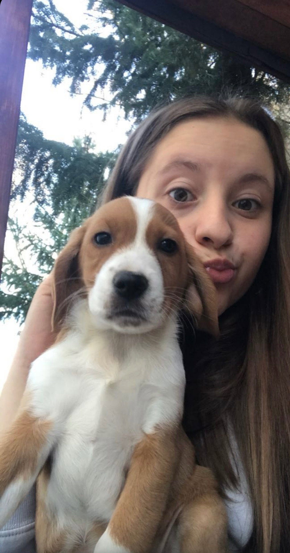 Michelle, pet sitter in Bonn, photo 1
