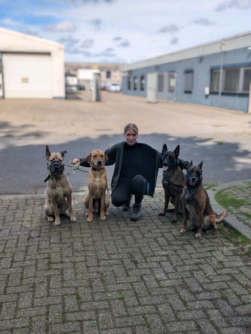 Flora, pet sitter in Heerlen, photo 2
