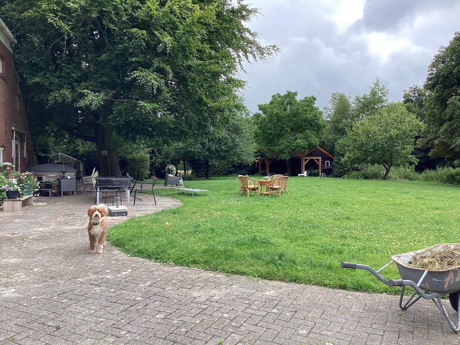 Barbra, pet sitter in Tripscompagnie, photo 3