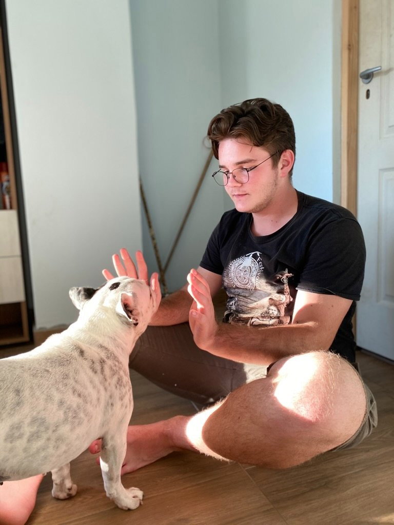 Ionut Bogdan, pet sitter in 's-Gravenhage, photo 5
