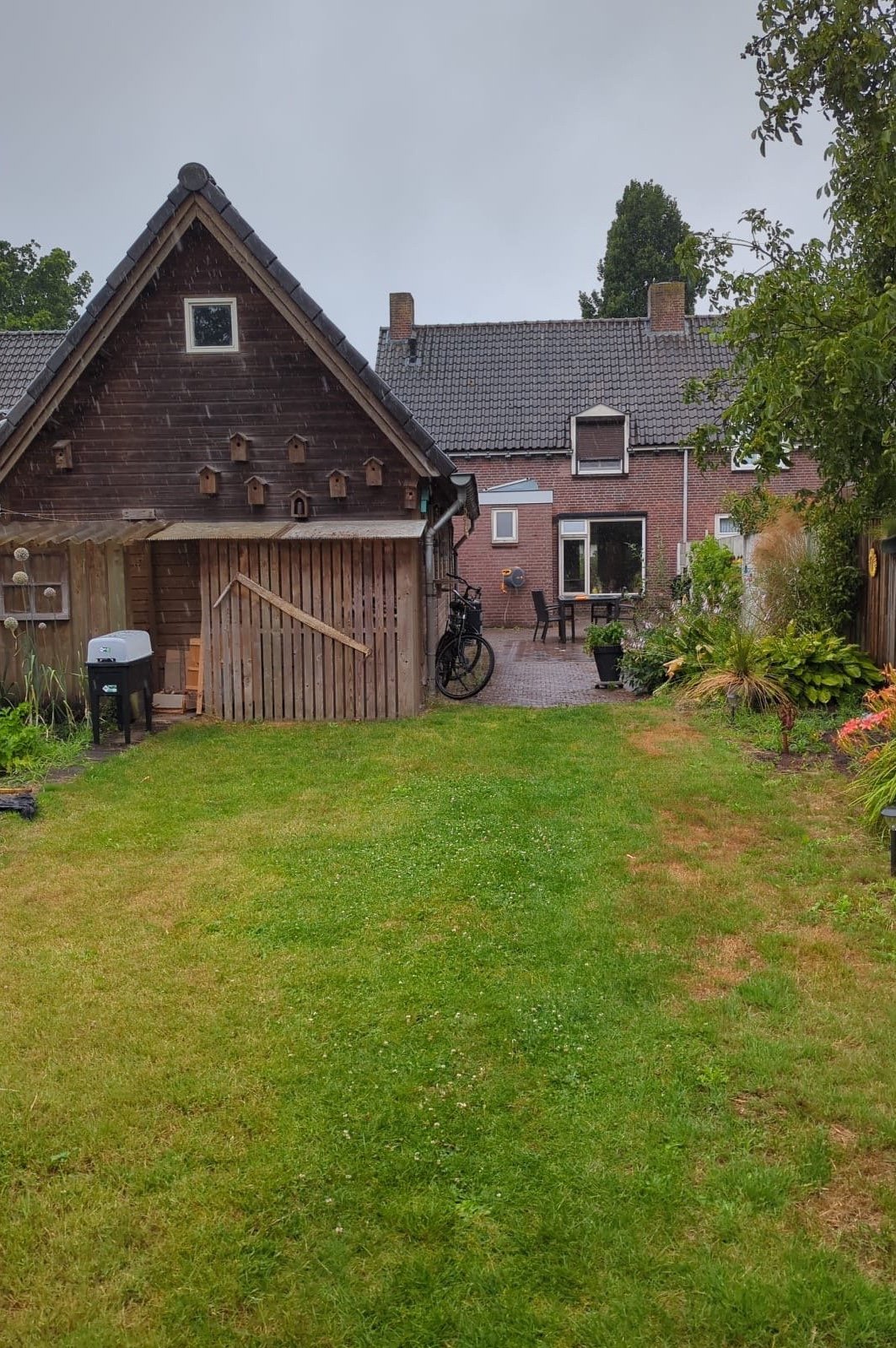 Sara, dierenoppas in Boxtel, foto 5
