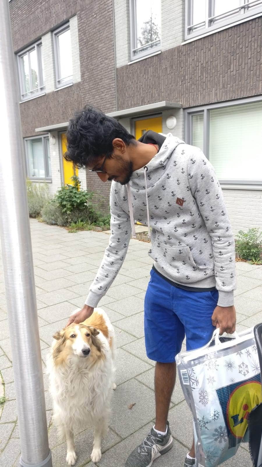 Ajay, dierenoppas in Son en Breugel, foto 3