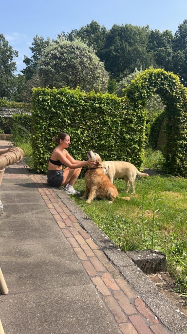 Robin, pet sitter in Eindhoven, photo 5
