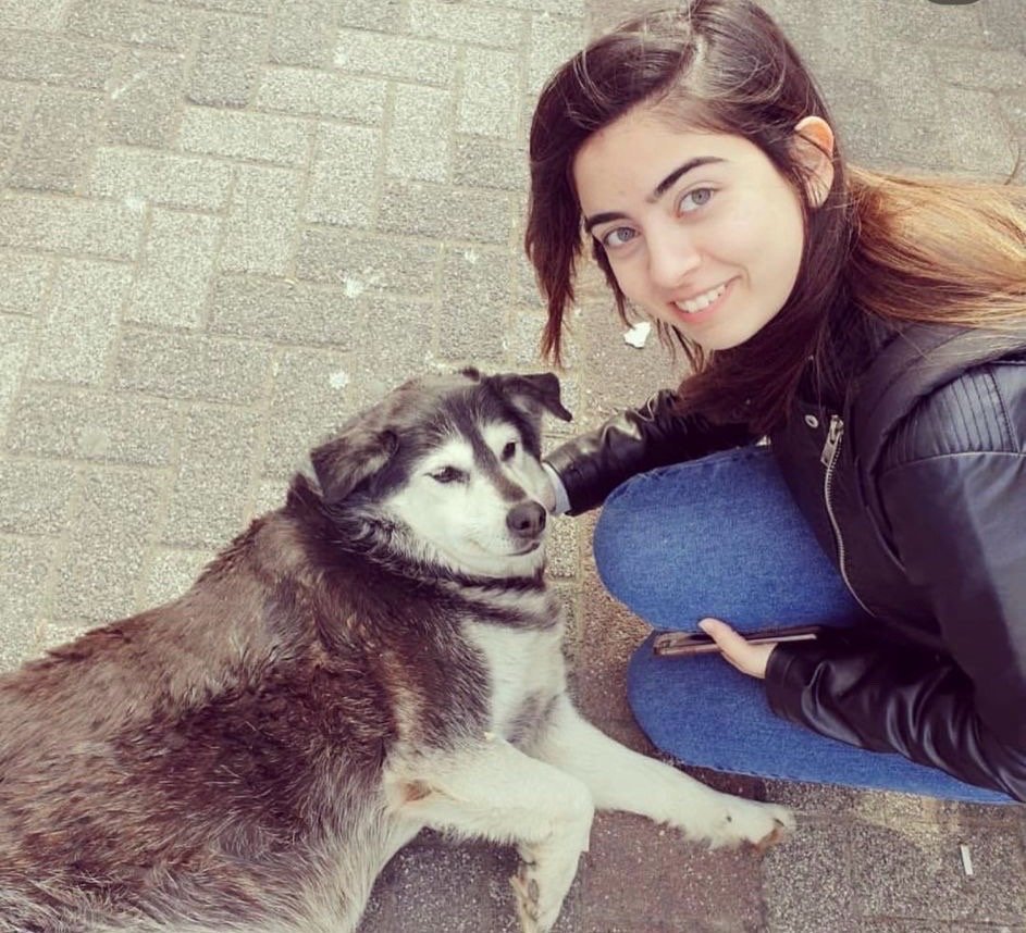 zahra, Tiersitter in Düsseldorf, Foto 4