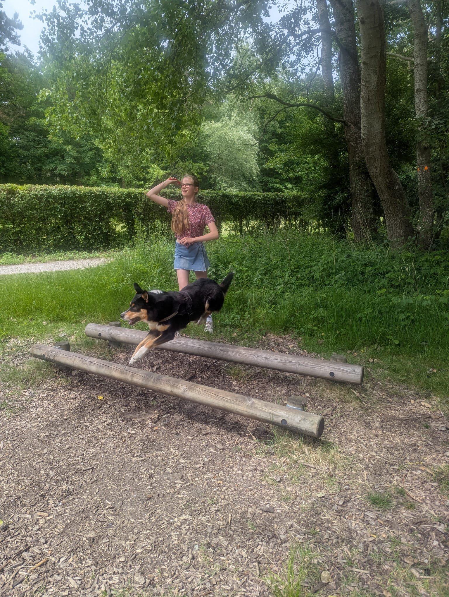 Noor, pet sitter in Sassenheim, photo 4