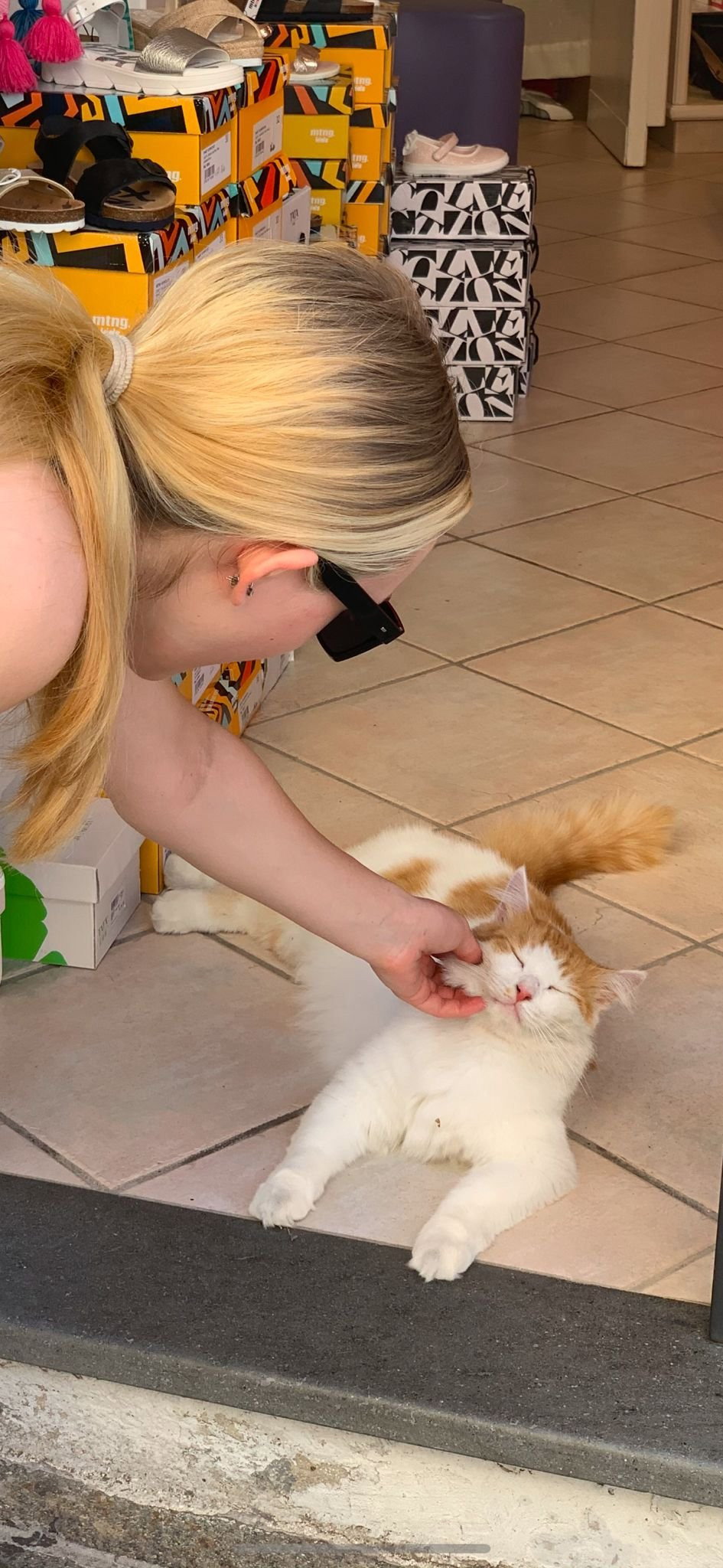 eva, pet sitter in Tiel, photo 2