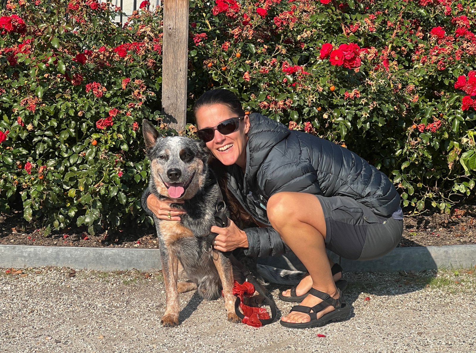 Linda, pet sitter in Maastricht, photo 3