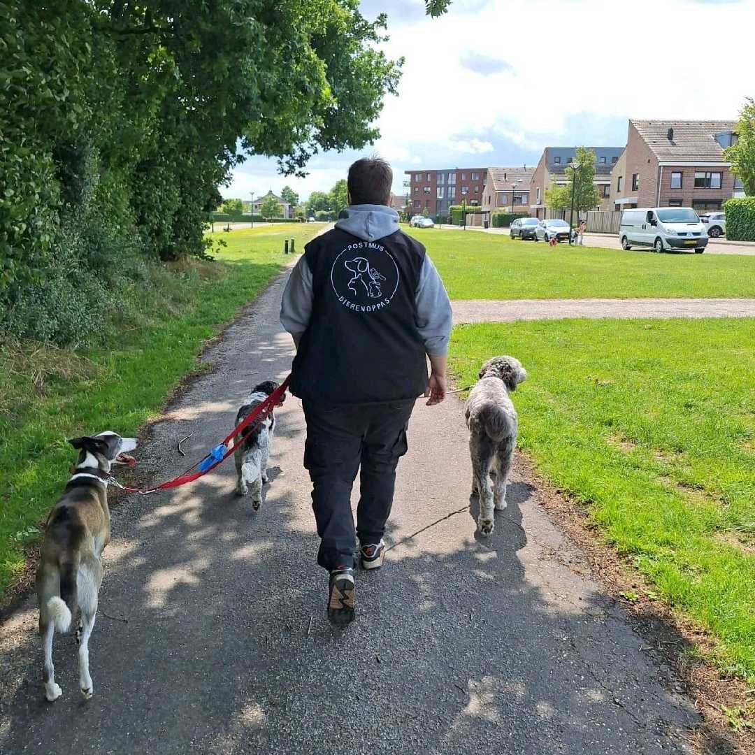 Jolijn, pet sitter in Oud Gastel, photo 2