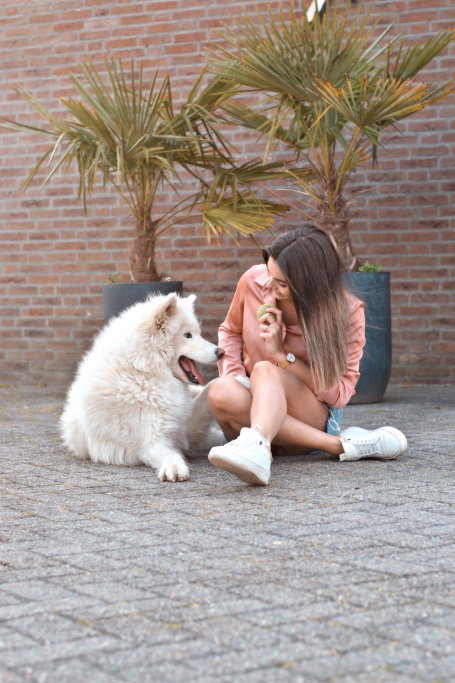Masja, pet sitter in Ravenstein, photo 2