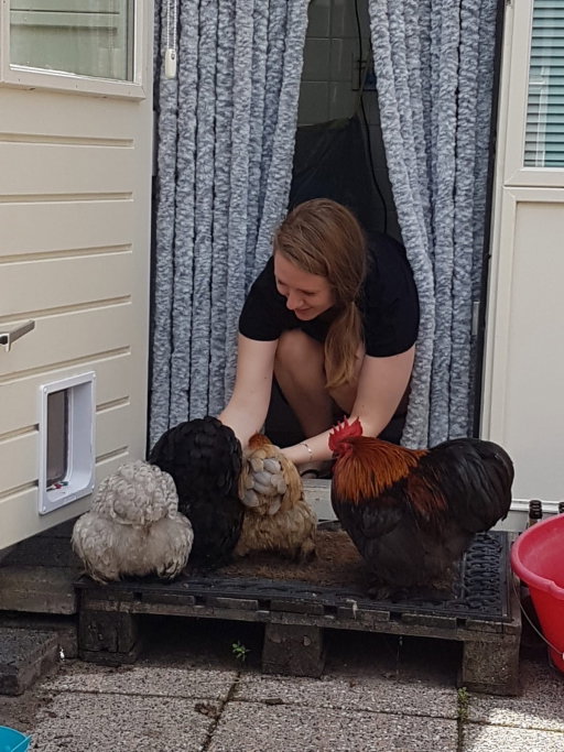Jaimie, pet sitter in Leiden, photo 4