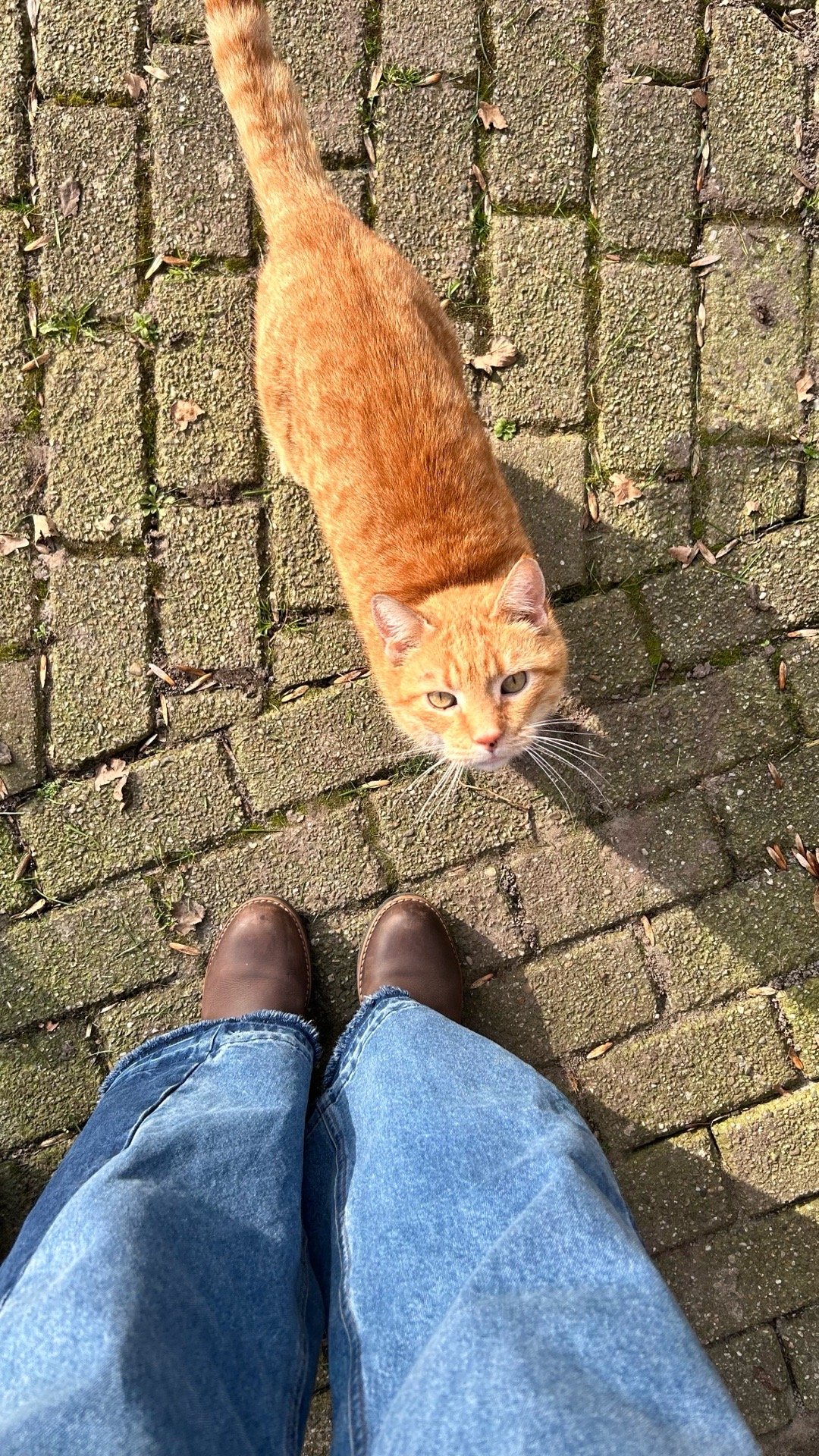 Froukje, dierenoppas in Apeldoorn, foto 3