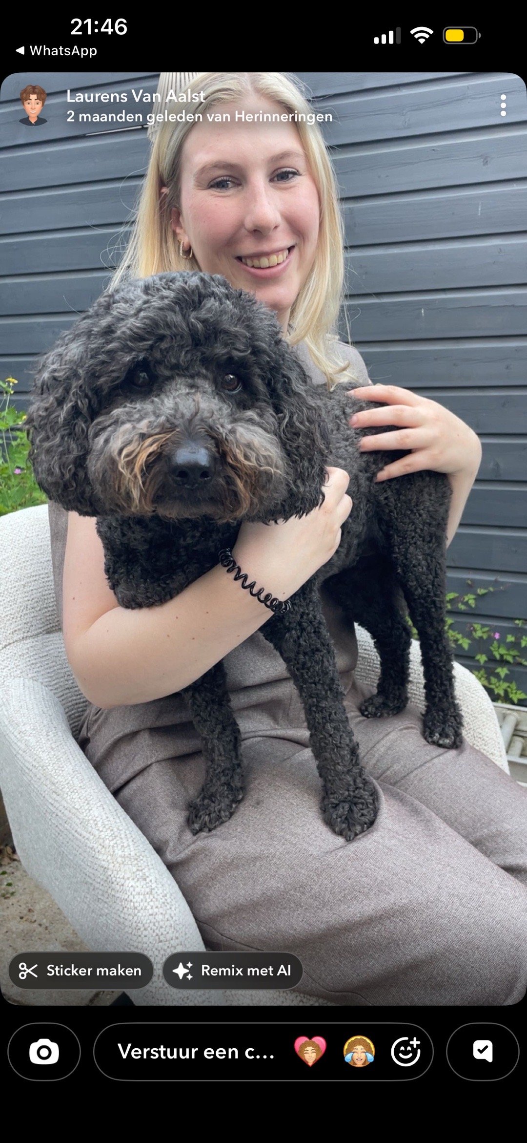 Julia, pet sitter in Rotterdam, photo 1