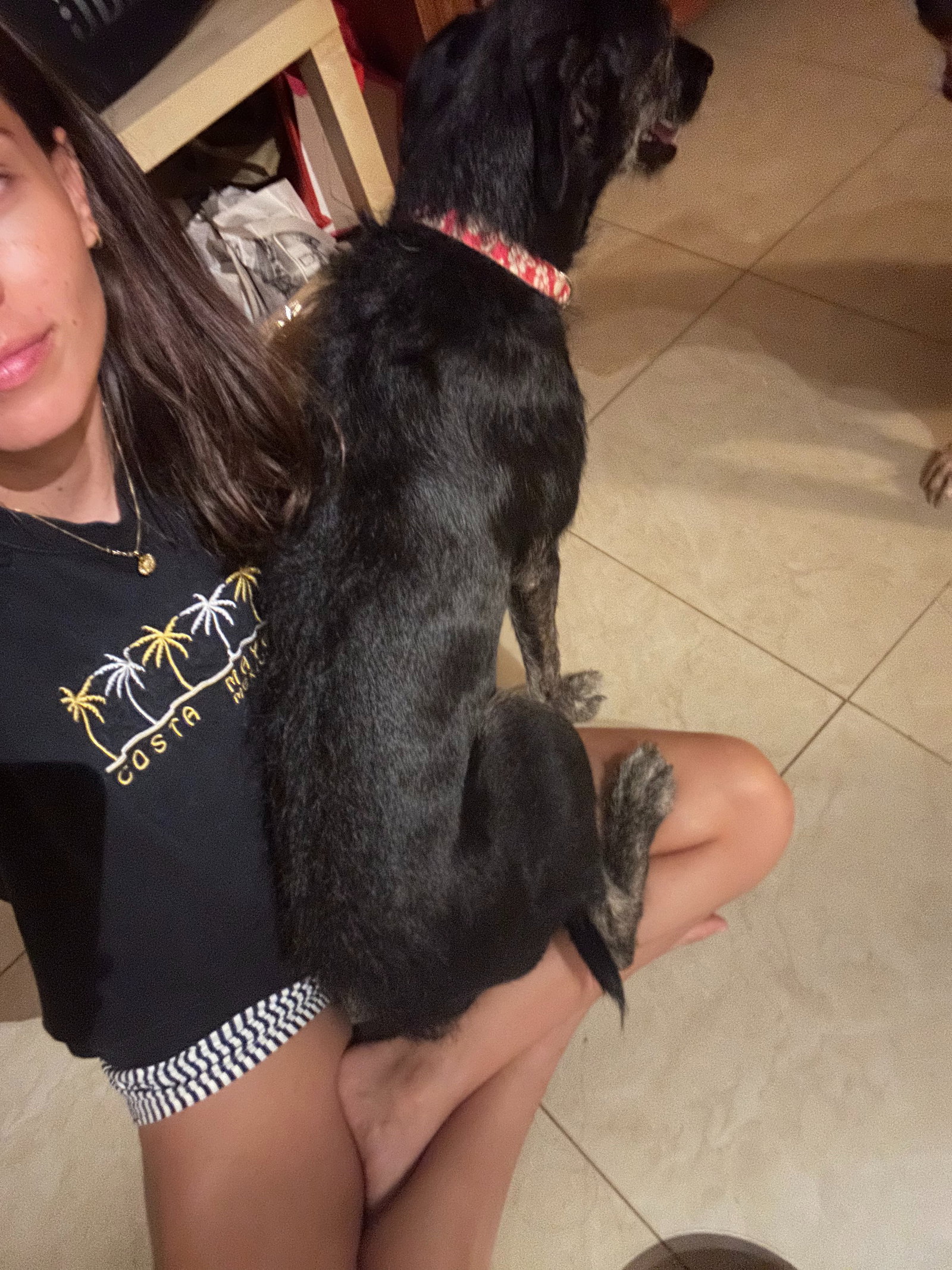 Denise, pet sitter in Rotterdam, photo 2