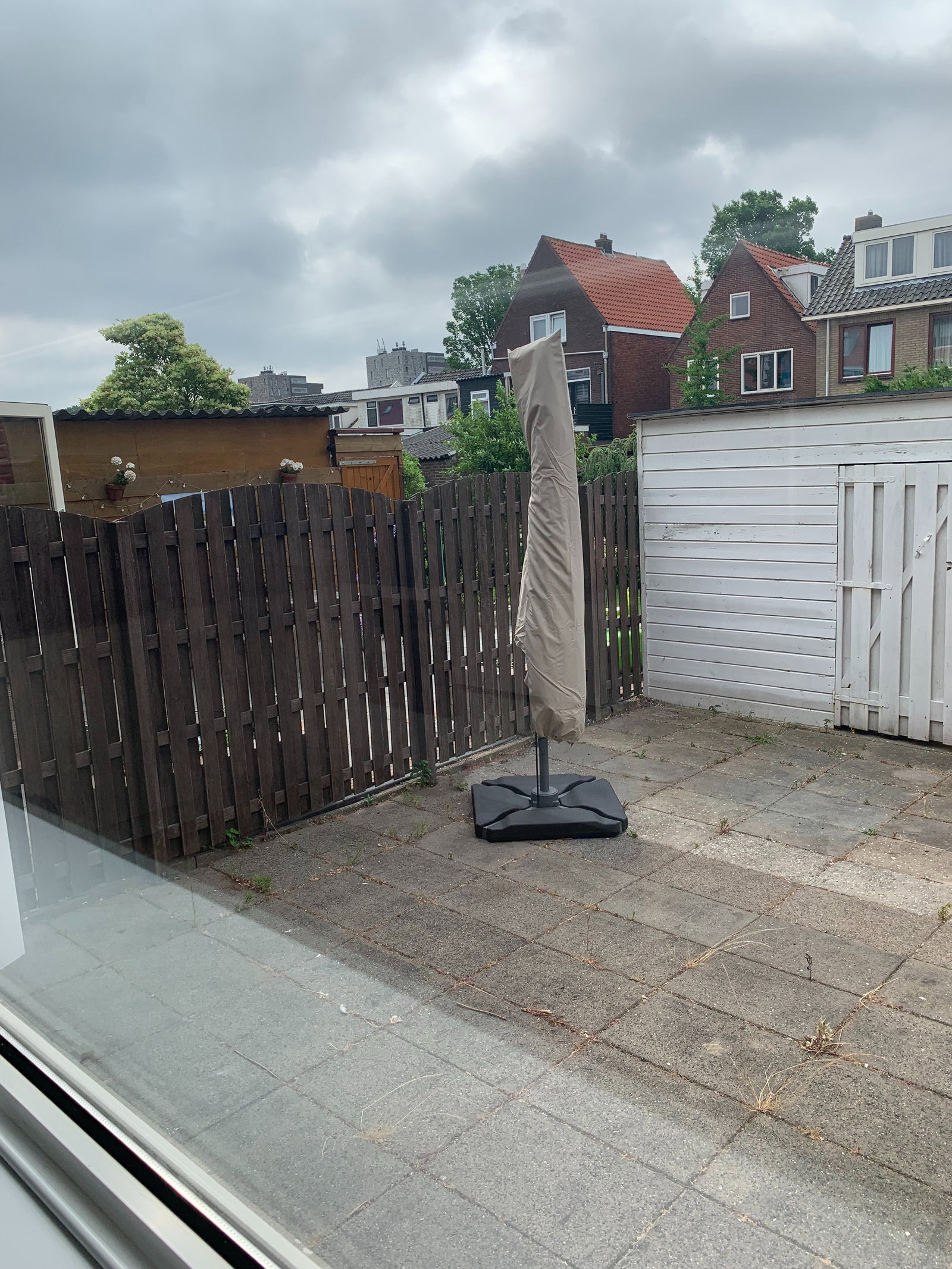 Danylo, pet sitter in Zaandam, photo 5