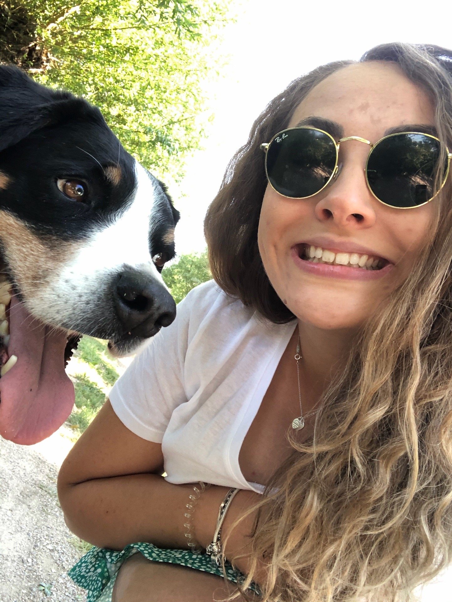 Stephanie, pet sitter in Rotterdam, photo 5