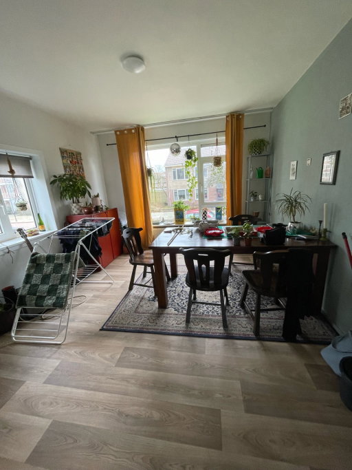 suus, pet sitter in Beverwijk, photo 4