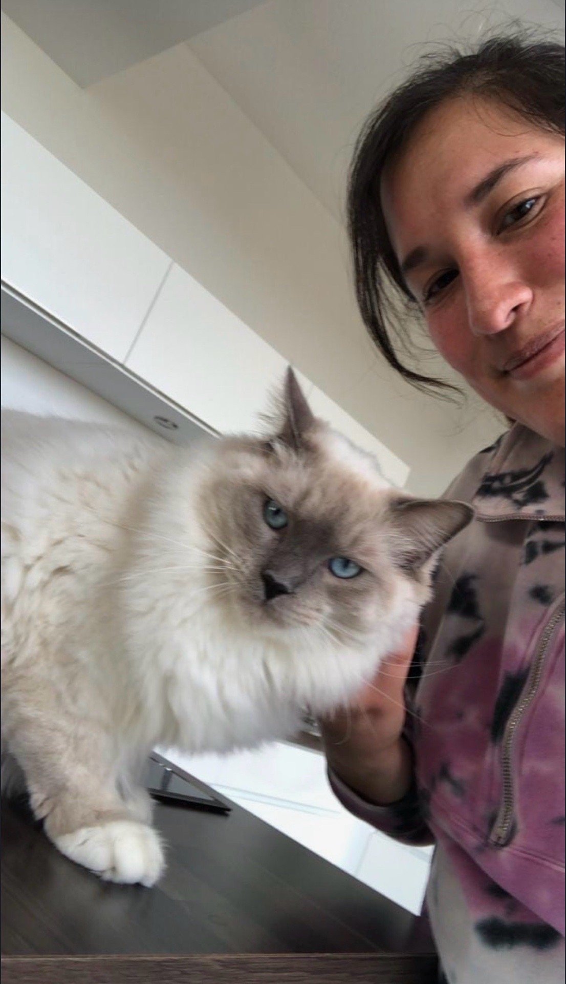 vanessa, pet sitter in Amersfoort, photo 5