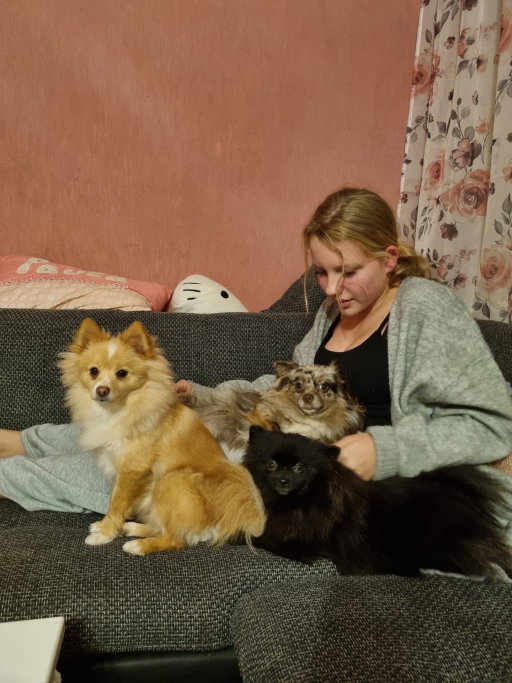 lara, Tiersitter in Berlin, Foto 3