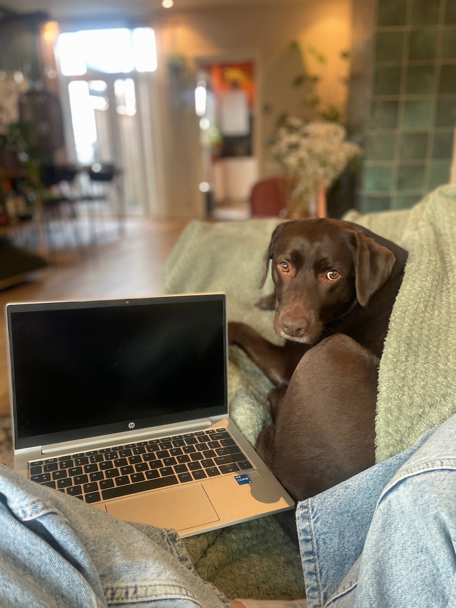 suzanne, pet sitter in Breda, photo 5