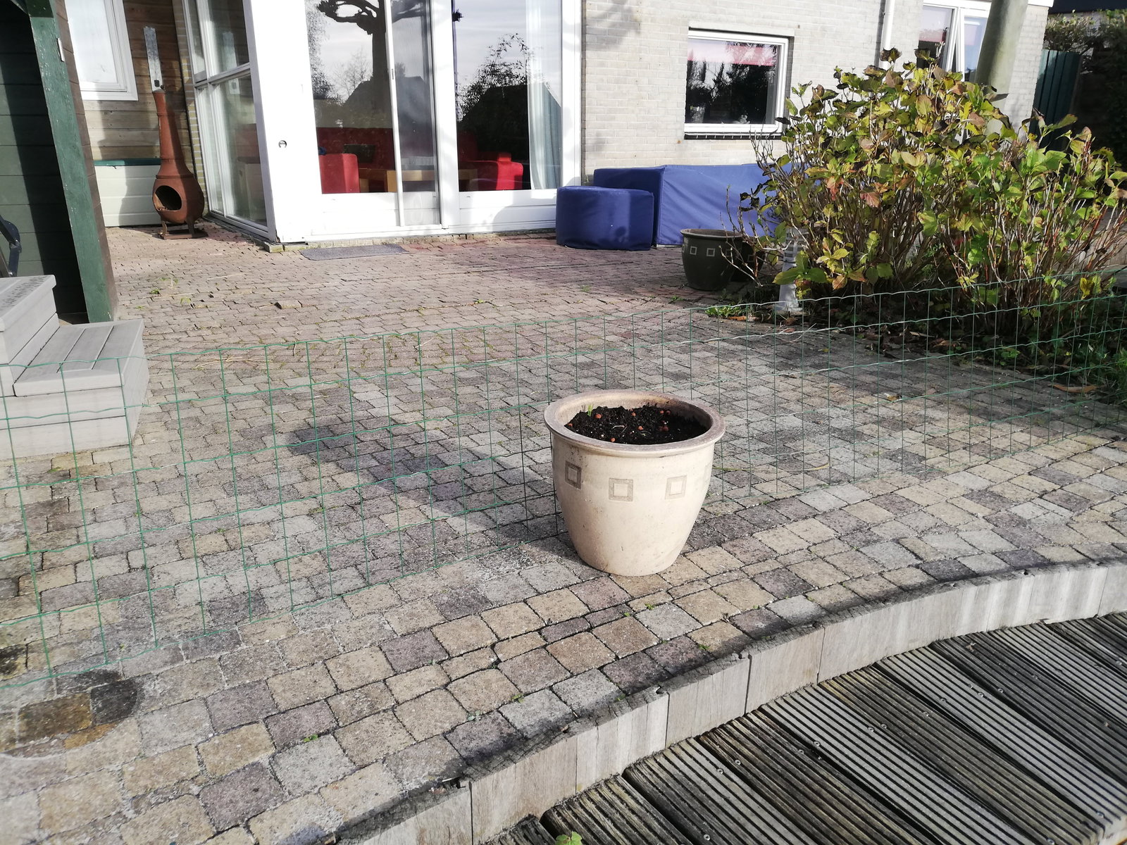Irene, pet sitter in Terherne, photo 5