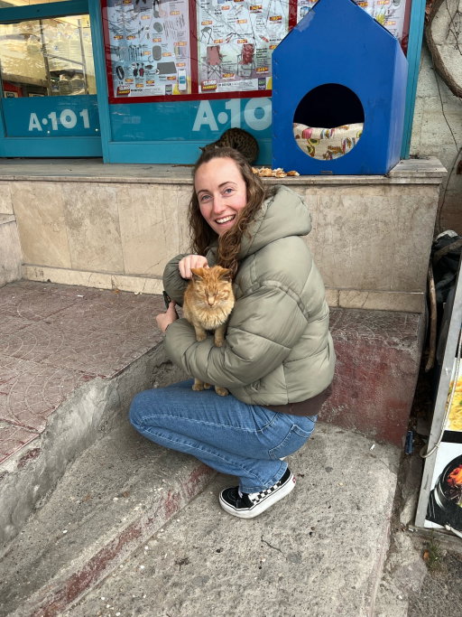 rowie, pet sitter in Naarden, photo 2