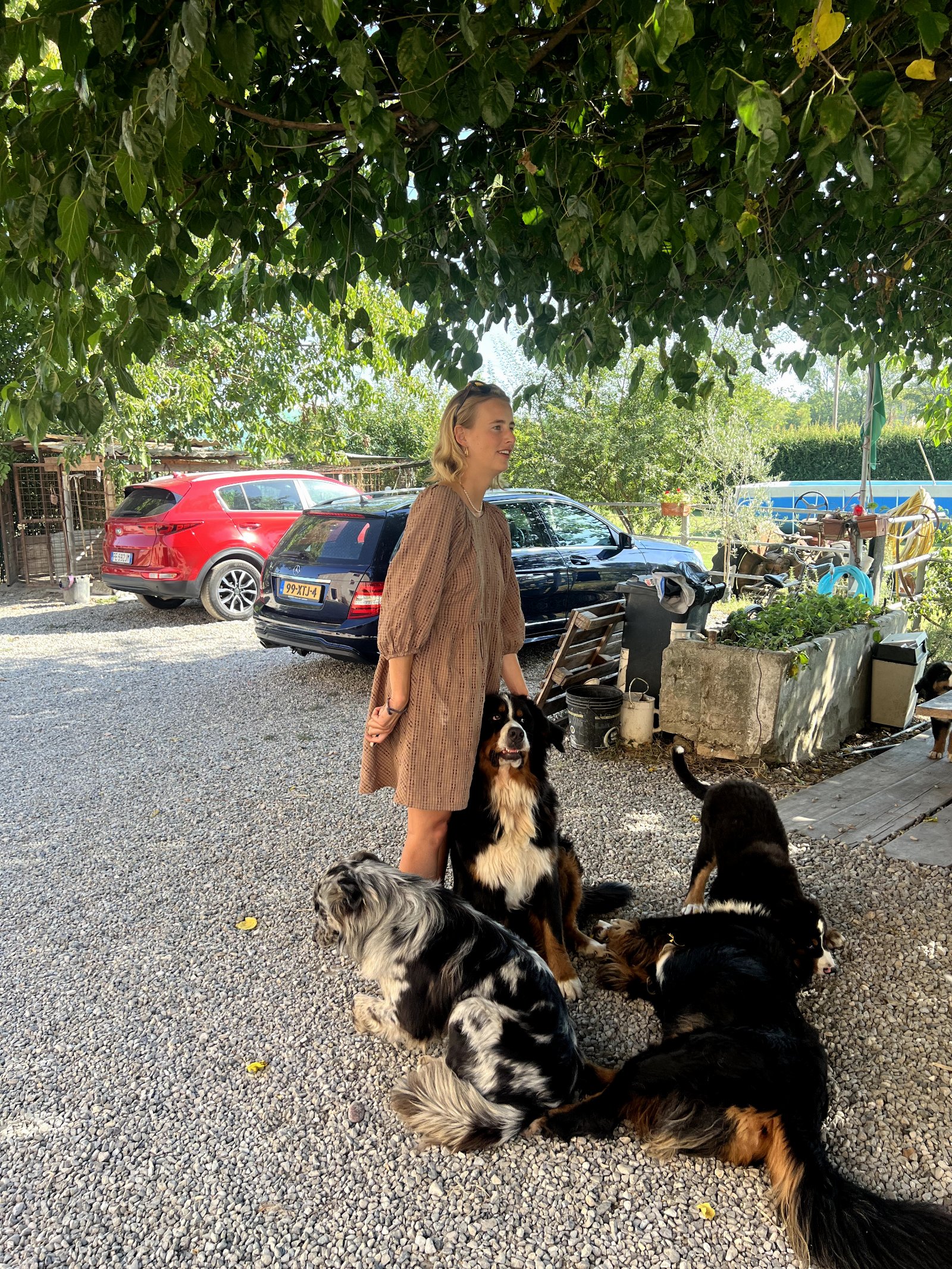 Joosje, pet sitter in Amsterdam, photo 4