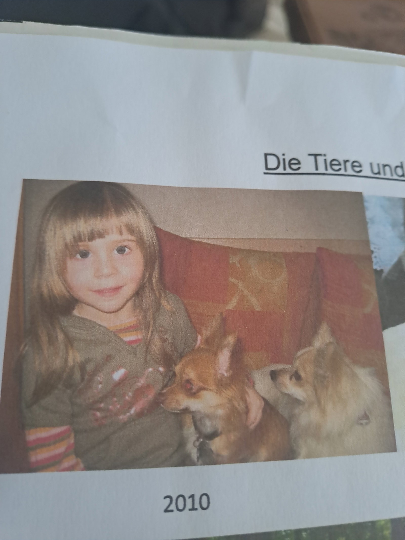Lisa, Tiersitter in Stuttgart, Foto 1