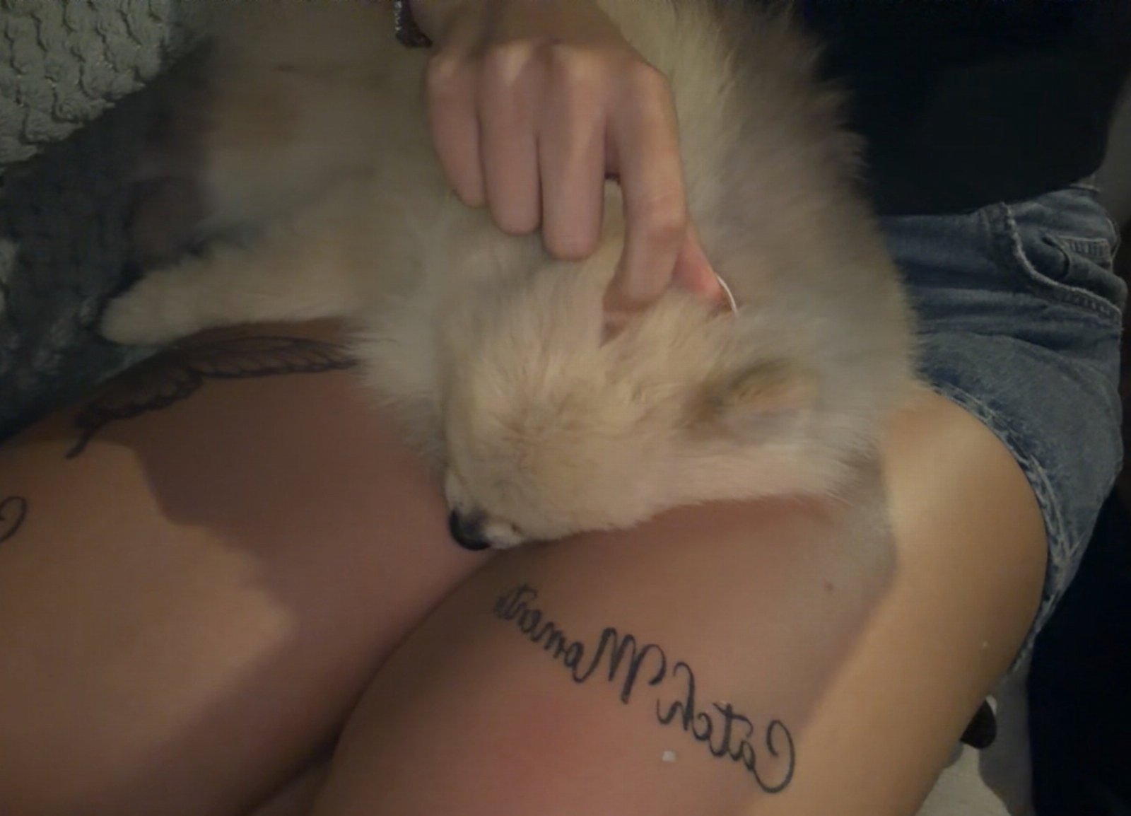 Martyna, pet sitter in Breda, photo 2