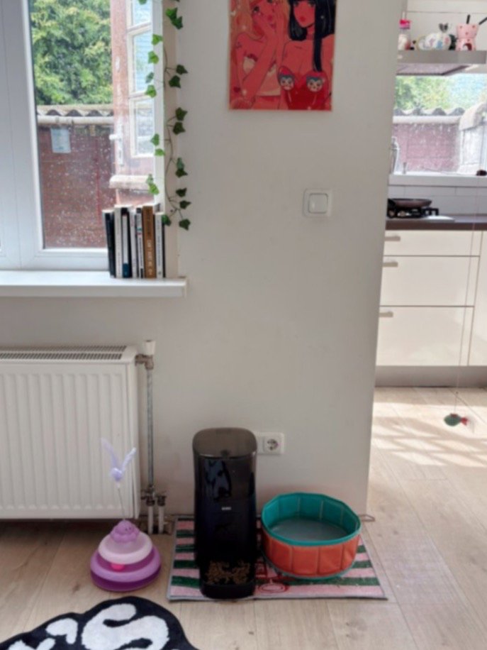rabiye, pet sitter in Rotterdam, photo 5