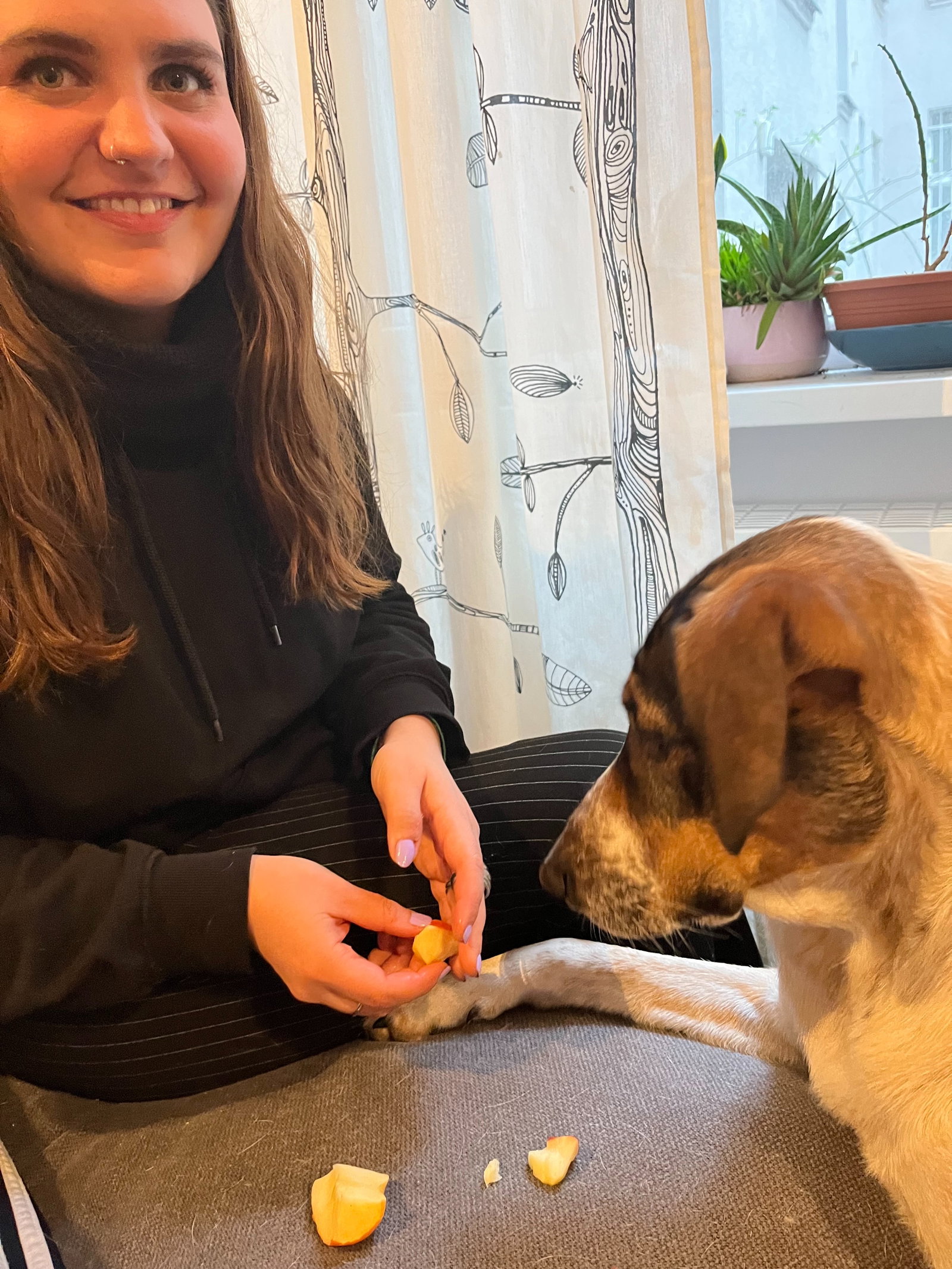 Elli, Tiersitter in Berlin, Foto 1