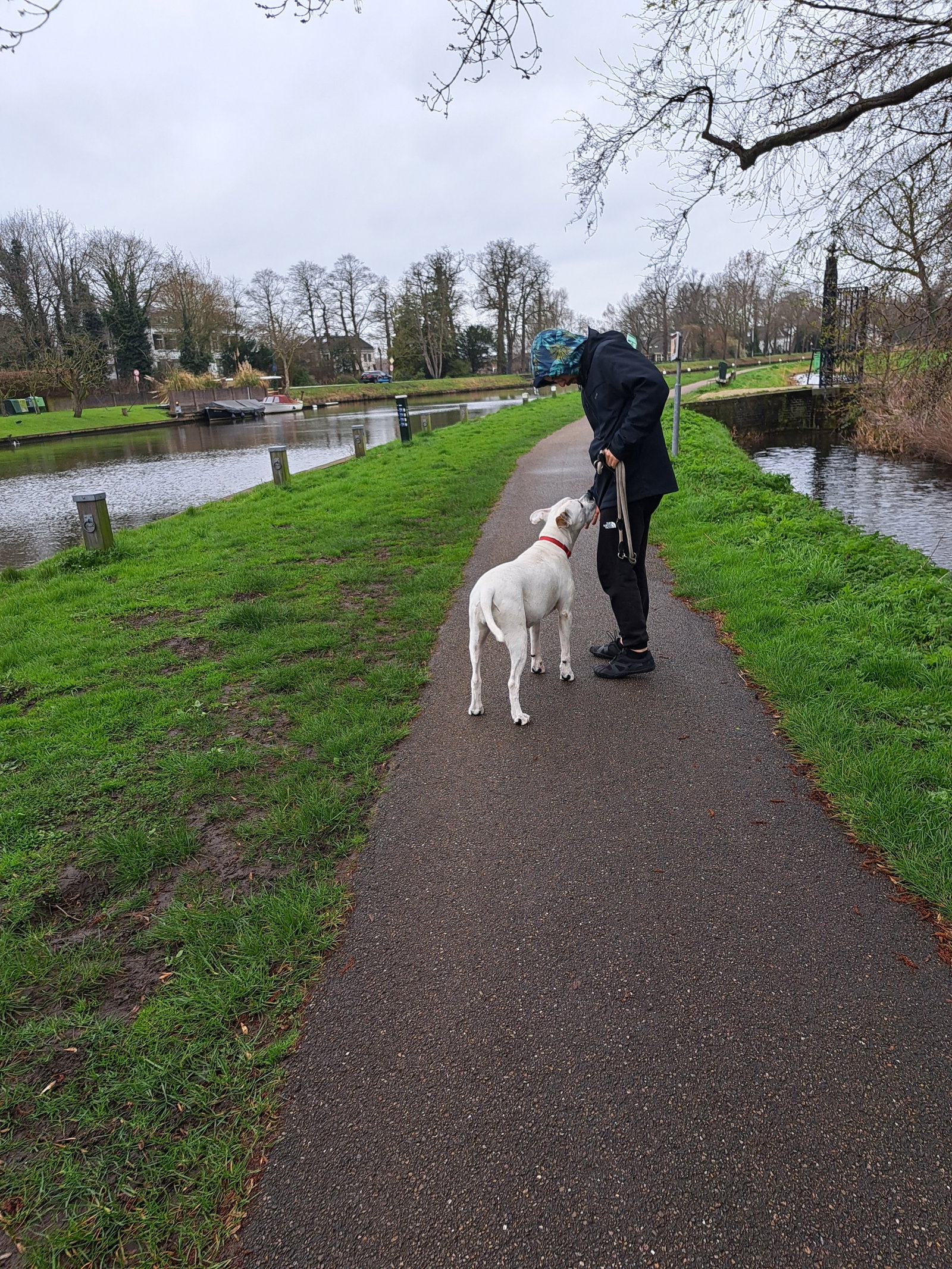 Isac & Ana, pet sitter in Amsterdam, photo 1
