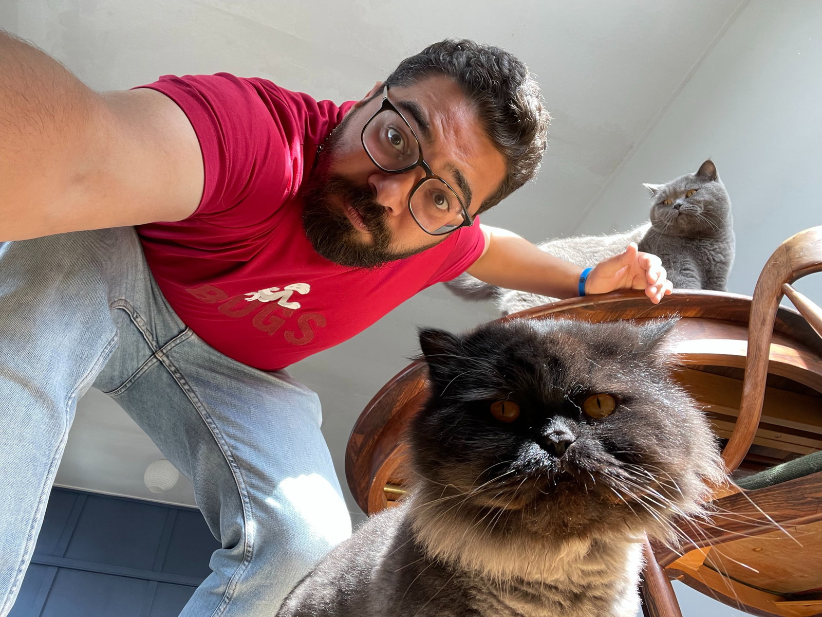 Hassan, pet sitter in Rotterdam, photo 3