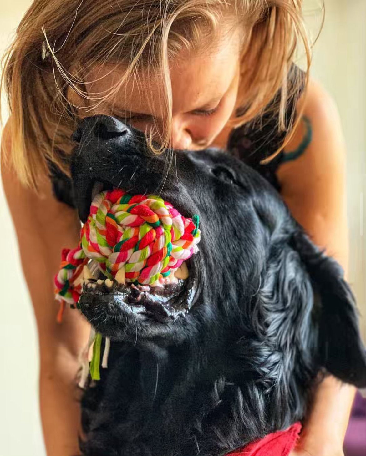 Roxana, pet sitter in Amsterdam, photo 1
