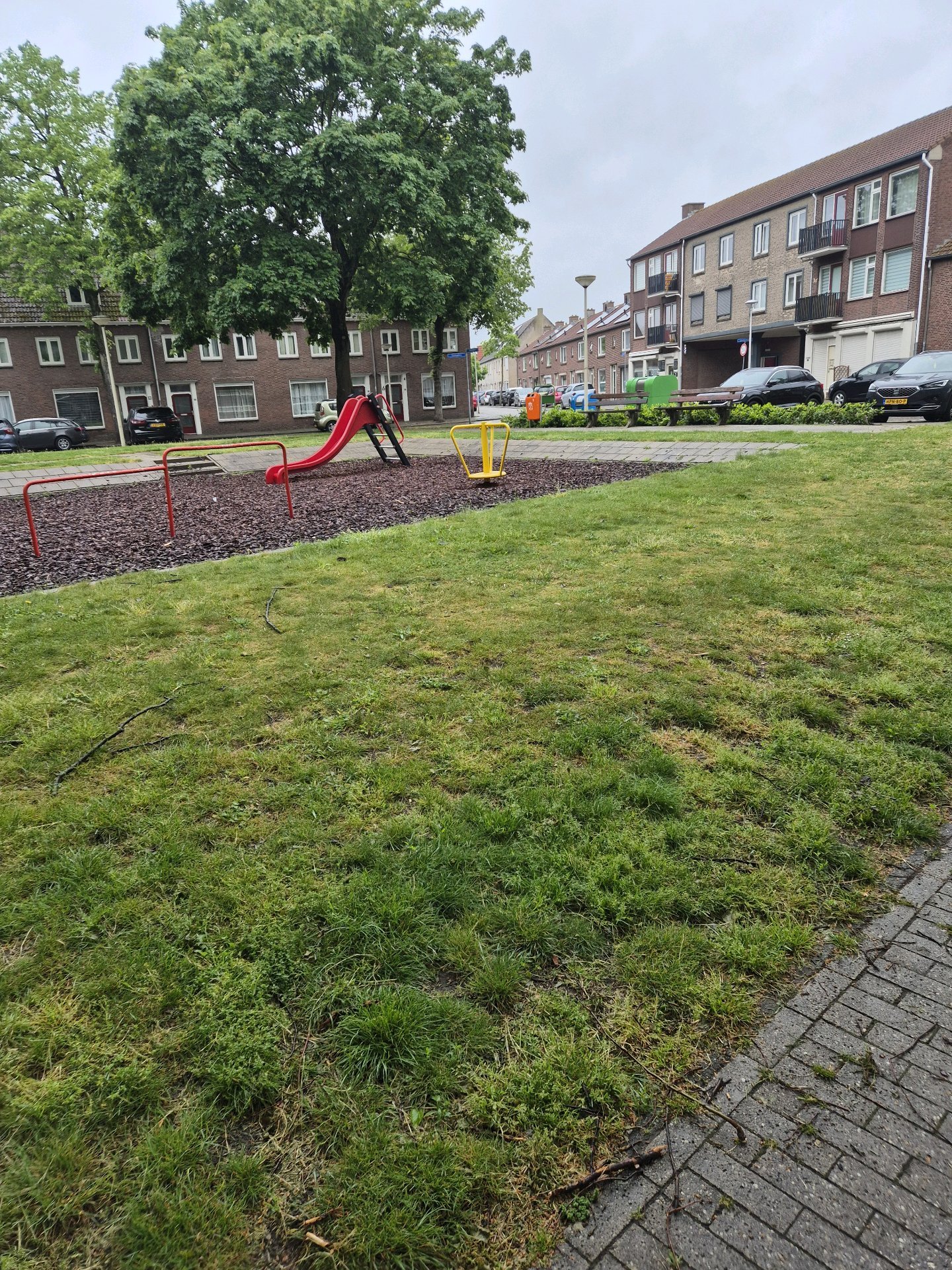 Henk, pet sitter in Bergen op Zoom, photo 3