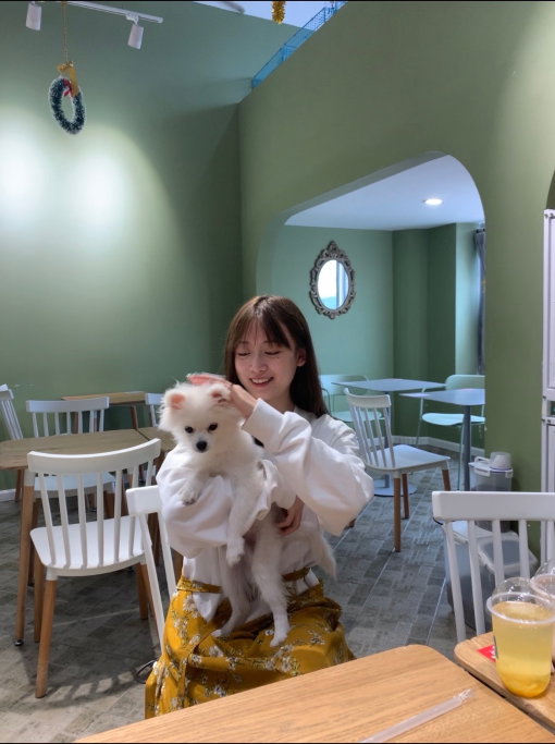 Alaia, pet sitter in Capelle aan den IJssel, photo 1